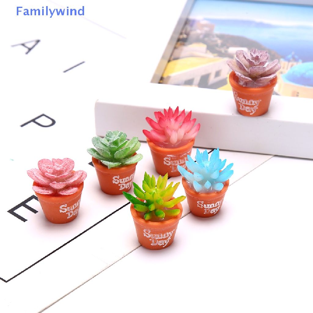 Set 6 Mô Hình Chậu Cây Mini Trang Trí Tiểu Cảnh