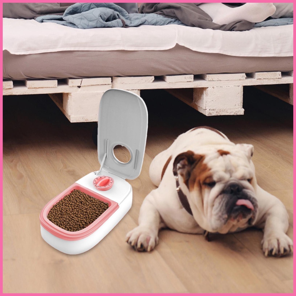 Máy Cho Thú Cưng Ăn Và Uống Nước Tự Động Có Thể Lập Trình