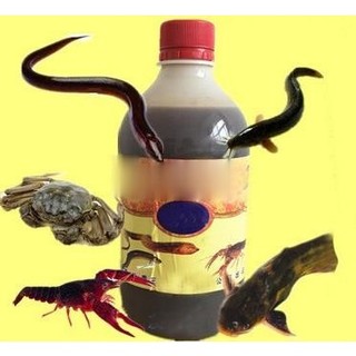 Mồi nước dụ lươn- tôm- cua -cá 500ml siêu nhậy - đồ câu simano