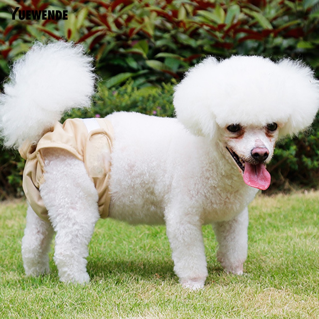 Tã Quần Thoáng Khí An Toàn Có Thể Giặt Cho Thú Cưng