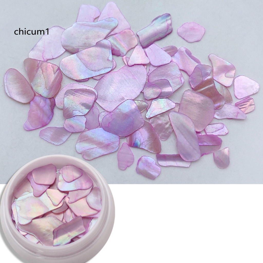 1 Hộp Phụ Kiện Trang Sức / Vỏ Sò Mini Trang Trí Móng Tay Nghệ Thuật Sáng Tạo