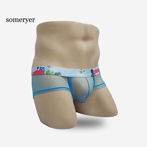 Quần Lót Lưới Mỏng Xuyên Thấu Thời Trang Quyến Rũ Dành Cho Nam