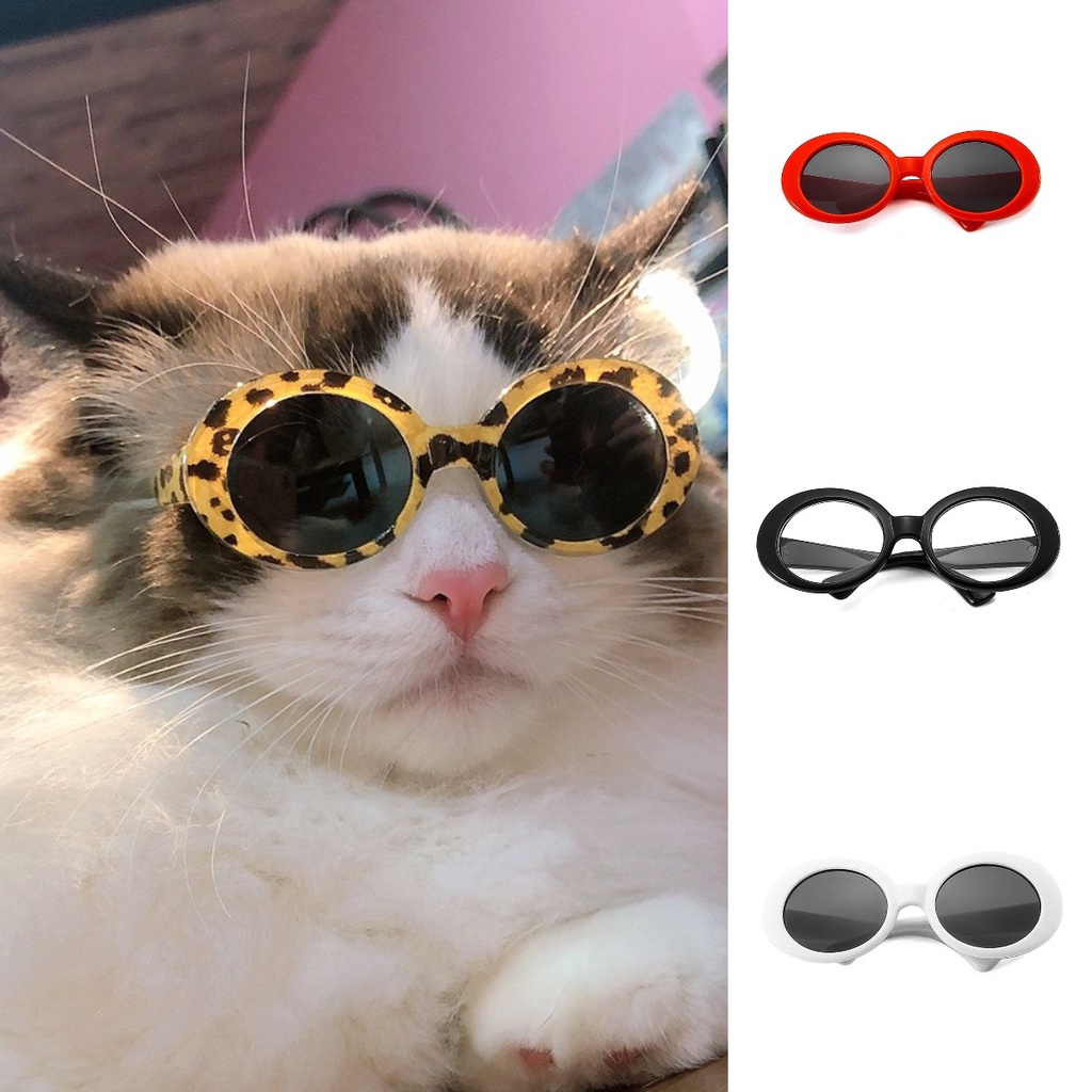 ♕Kính Cho Thú Cưng Kính Cho Chó Mèo Kính Râm Chống Gió Teddy Bitter Fadou Kính Râm Chụp Ảnh Bãi Biển Bên Bờ Biển Nhiều Màu Kèm Dây Chống Trượt