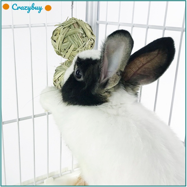 Cr Bóng Rơm Tự Nhiên Có Dây Treo Đồ Chơi Cho Thú Cưng Thỏ / Chuột Hamster Giảm Căng Thẳng
