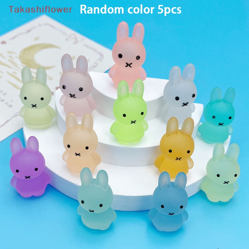 Bộ 5 Mô Hình Thỏ Phát Sáng Trong Bóng Tối Dùng Trang Trí