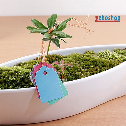 Set 100 Nhãn Treo Đánh Dấu Cây Trồng Chống Nước