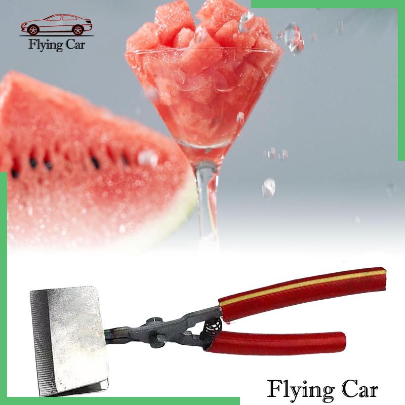 Kìm Kẹp Mở Vỏ Trái Cây Thủ Công Lzdjfmy2 7.87 "