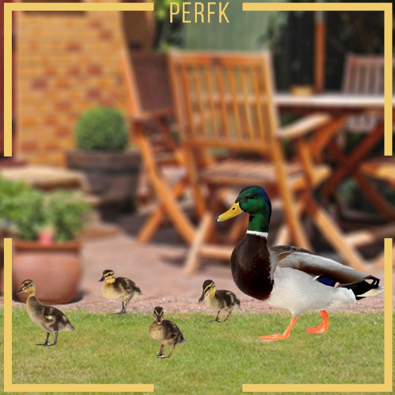 Set 5 Tượng Vịt Phẳng Điêu Khắc Trang Trí Lễ Phục Sinh