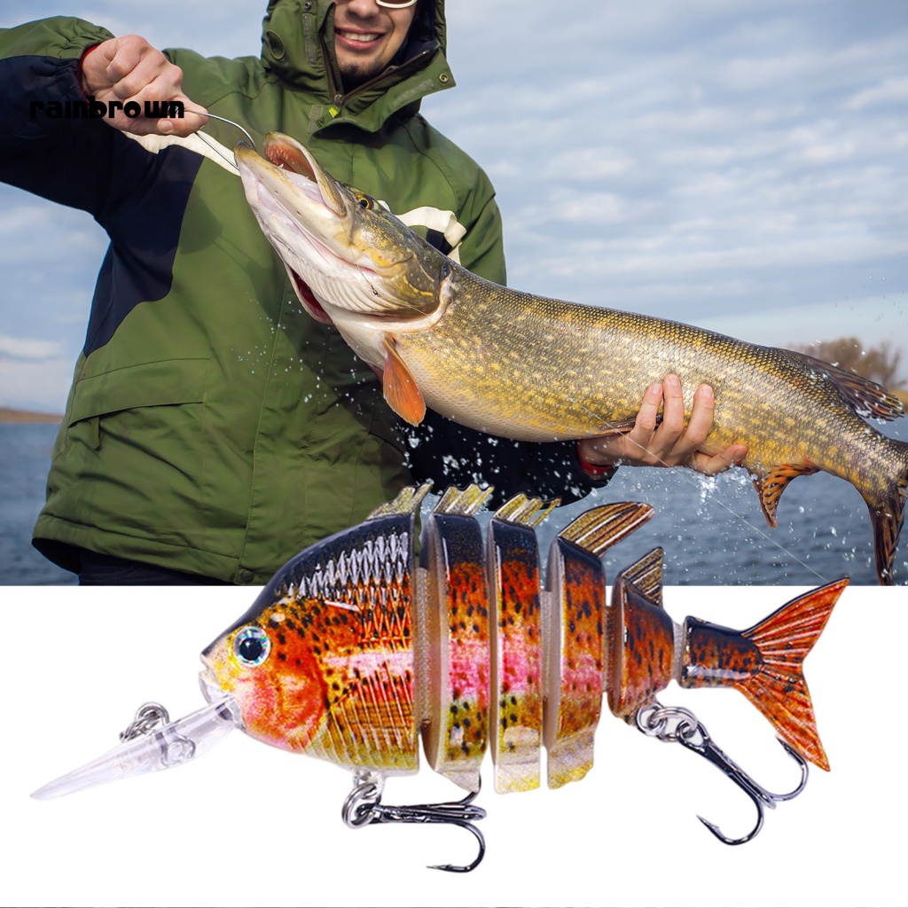 &lt; Rainbrown &gt; 10cm / 16