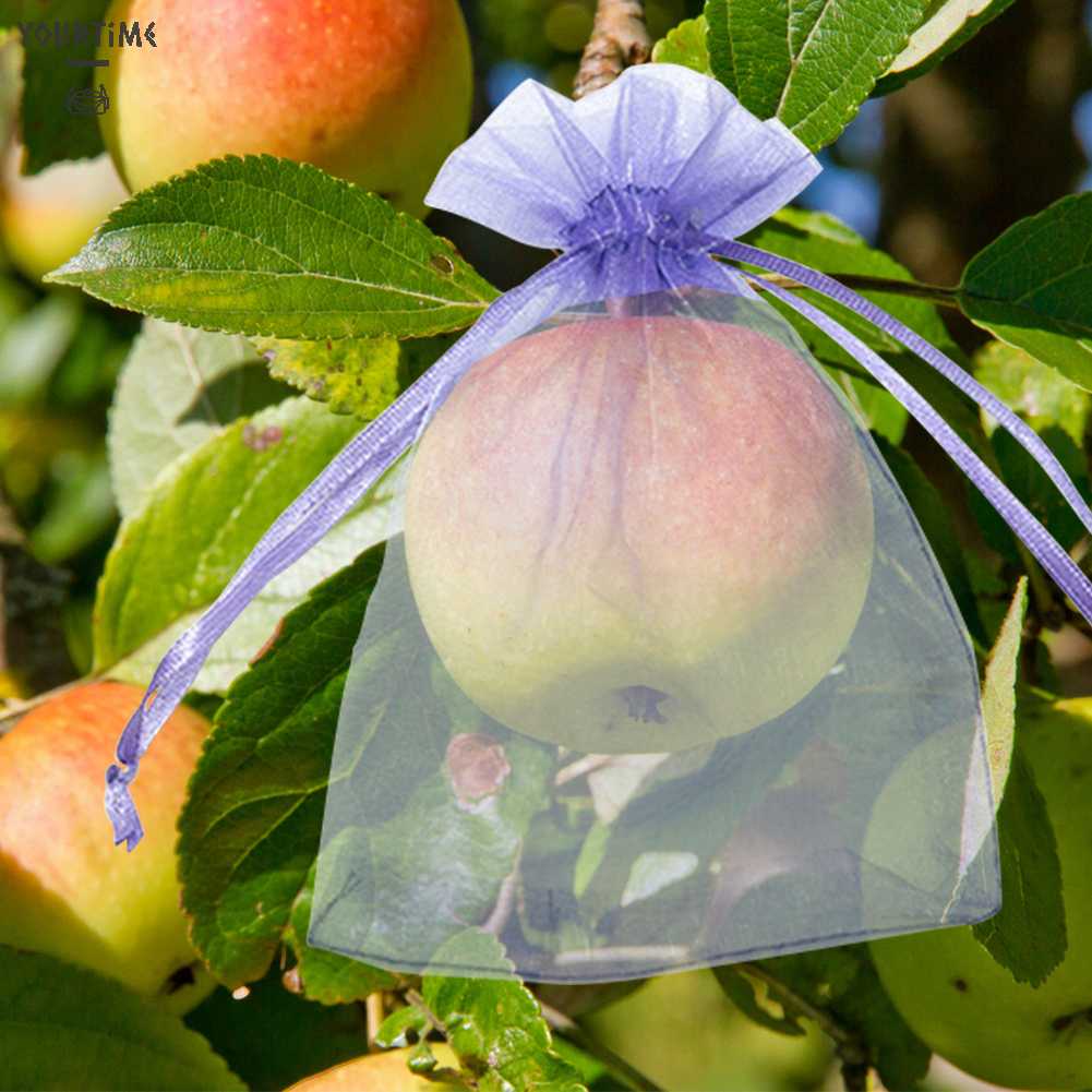 Bộ 100 Vỏ Lưới Bọc Bảo Vệ Cây Trồng