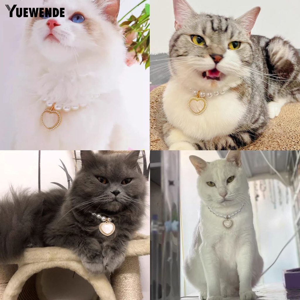 Vòng Cổ YQ.E Bề Mặt Mịn Màng Chống Phai Màu Có Thể Điều Chỉnh Trang Trí Cho Thú Cưng