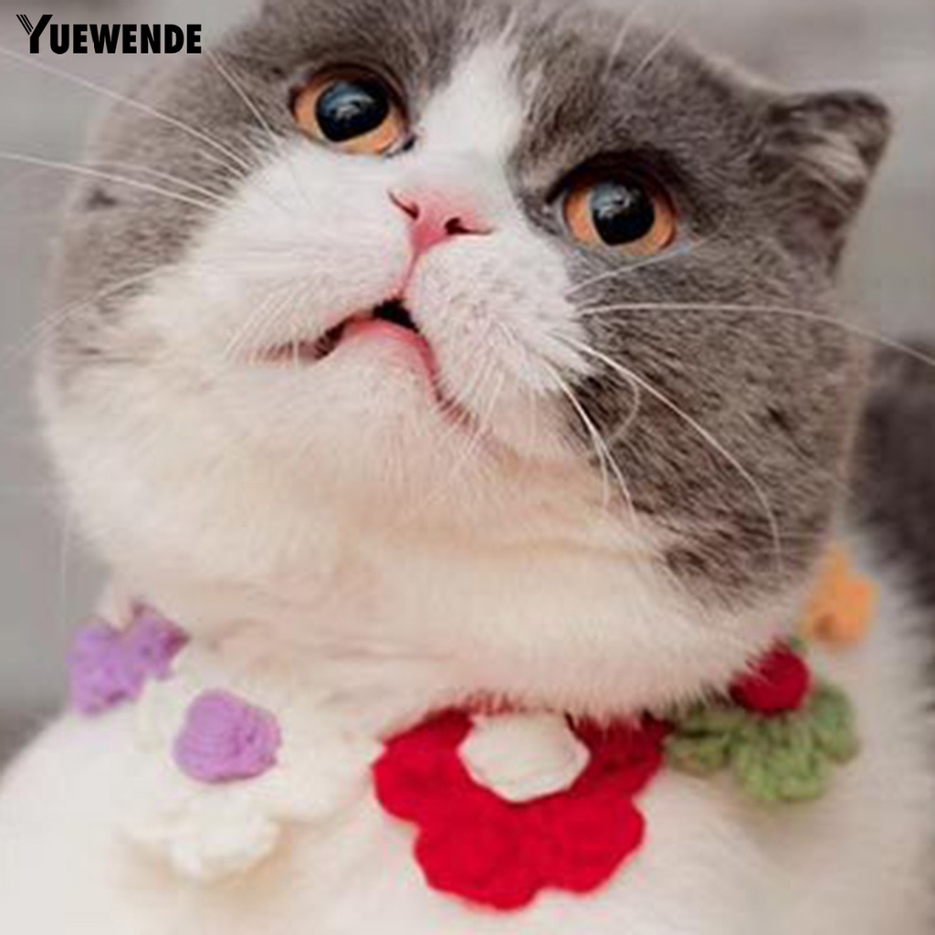 Yq.e Vòng Cổ Đan Len Hình Bông Hoa Tinh Tế Dành Cho Thú Cưng Tại Nhà