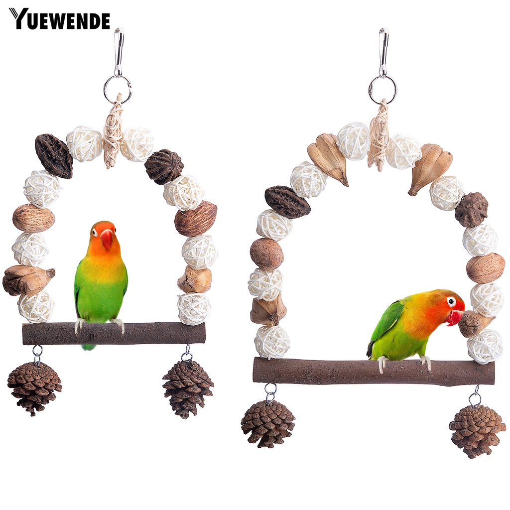 Đồ Chơi Treo Quả Thông Dành Cho Chim Vẹt