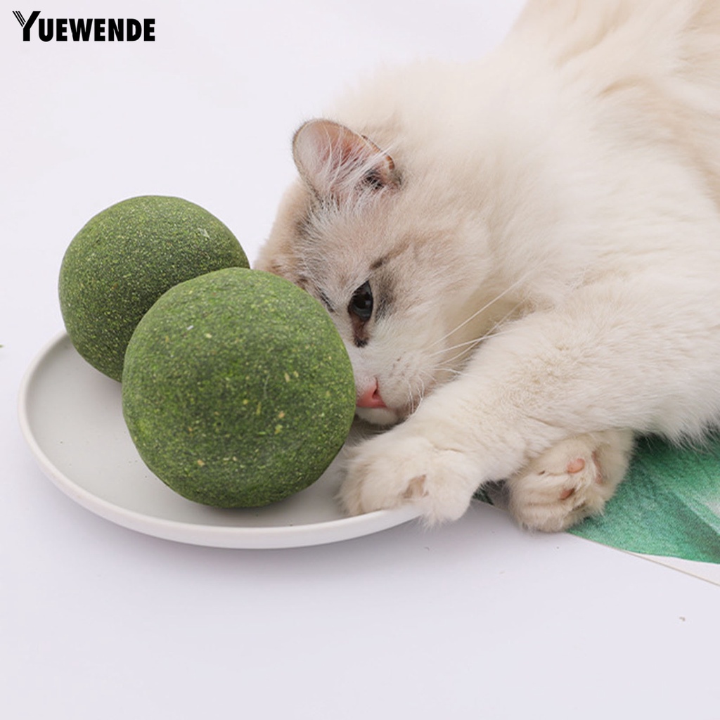 Quả Bóng Gặm Chống Cắn Tự Nhiên Quyến Rũ Cho Mèo Cưng YQ.E