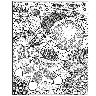 Coral Reef Magic Painting Book