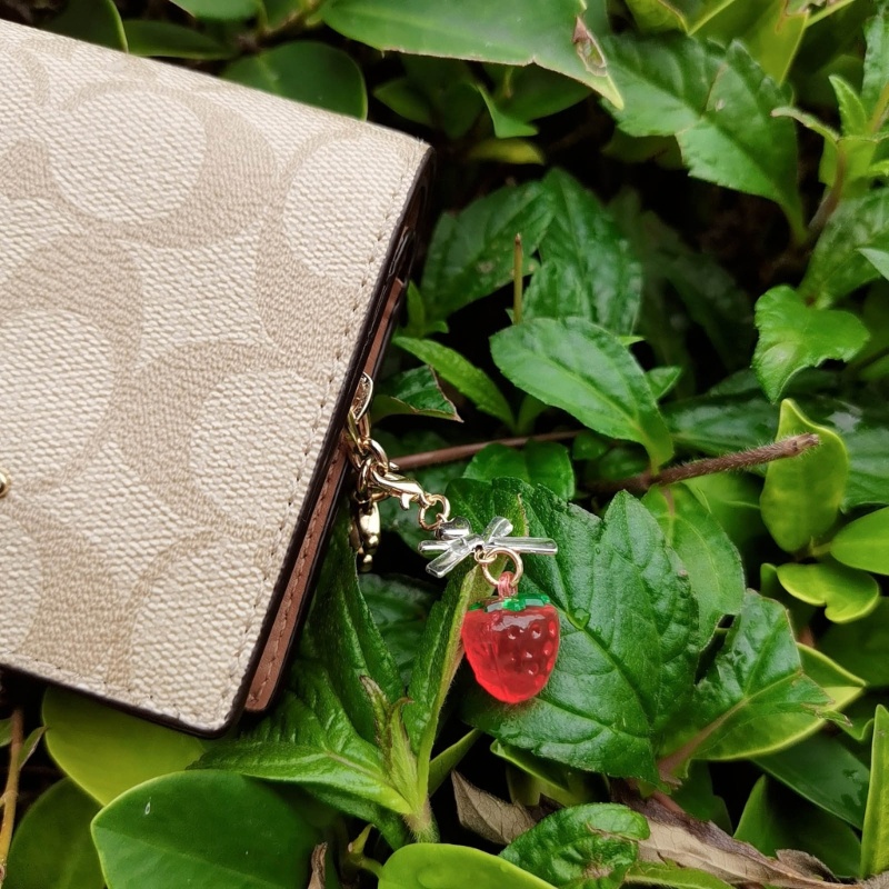 Móc Khóa Treo Túi Xách Đa Năng Cho Nữ