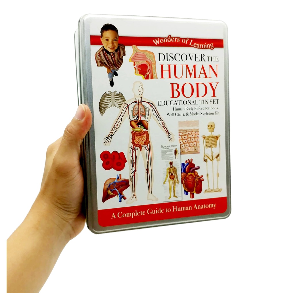 Tin Set - Discover The Human Body