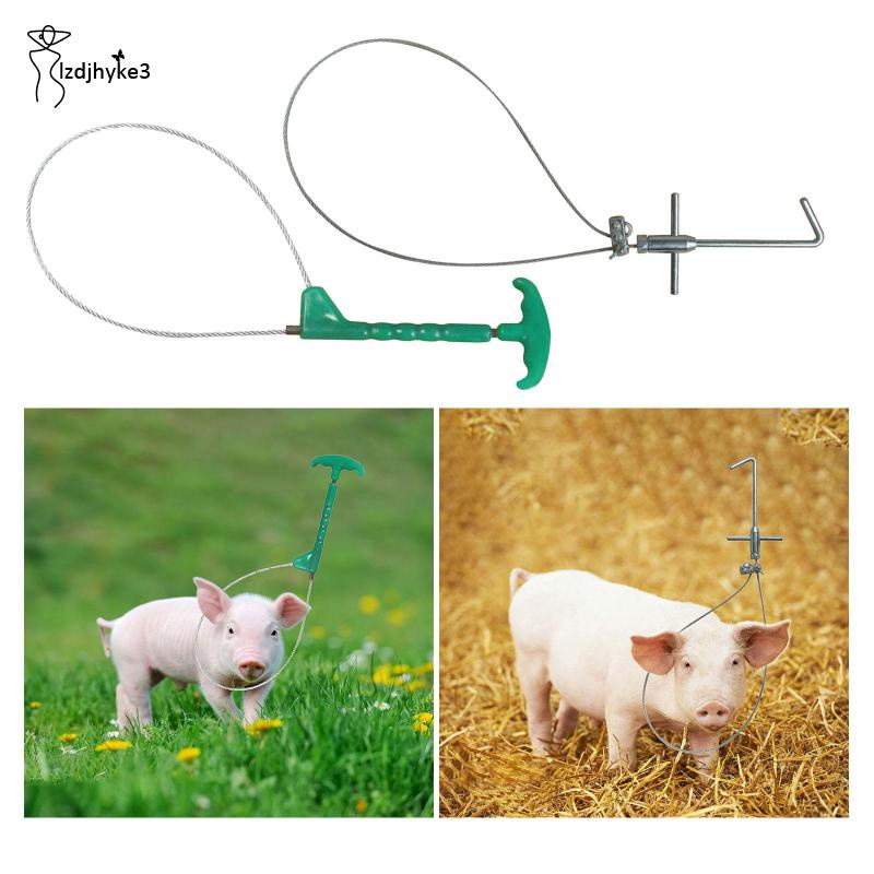 Giá Đỡ Cần Điều Khiển Heo / Chó / Lợn Nặng lzdjhyke3