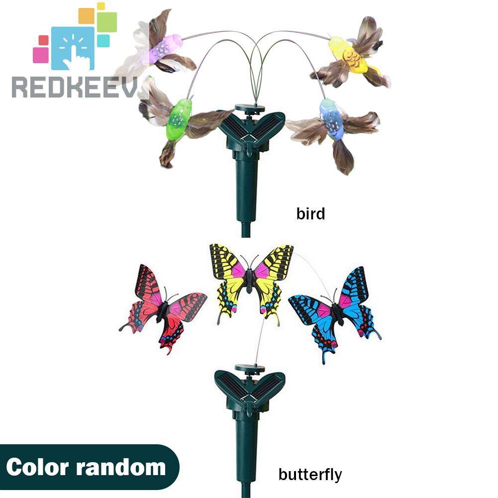 Bướm Năng Lượng Mặt Trời Trang Trí Sân Vườn