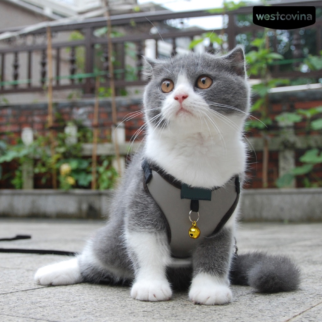 [COD]♞Dây Dắt Thú Cưng Đi Dạo Thiết Kế Thoáng Khí Tiện Dụng