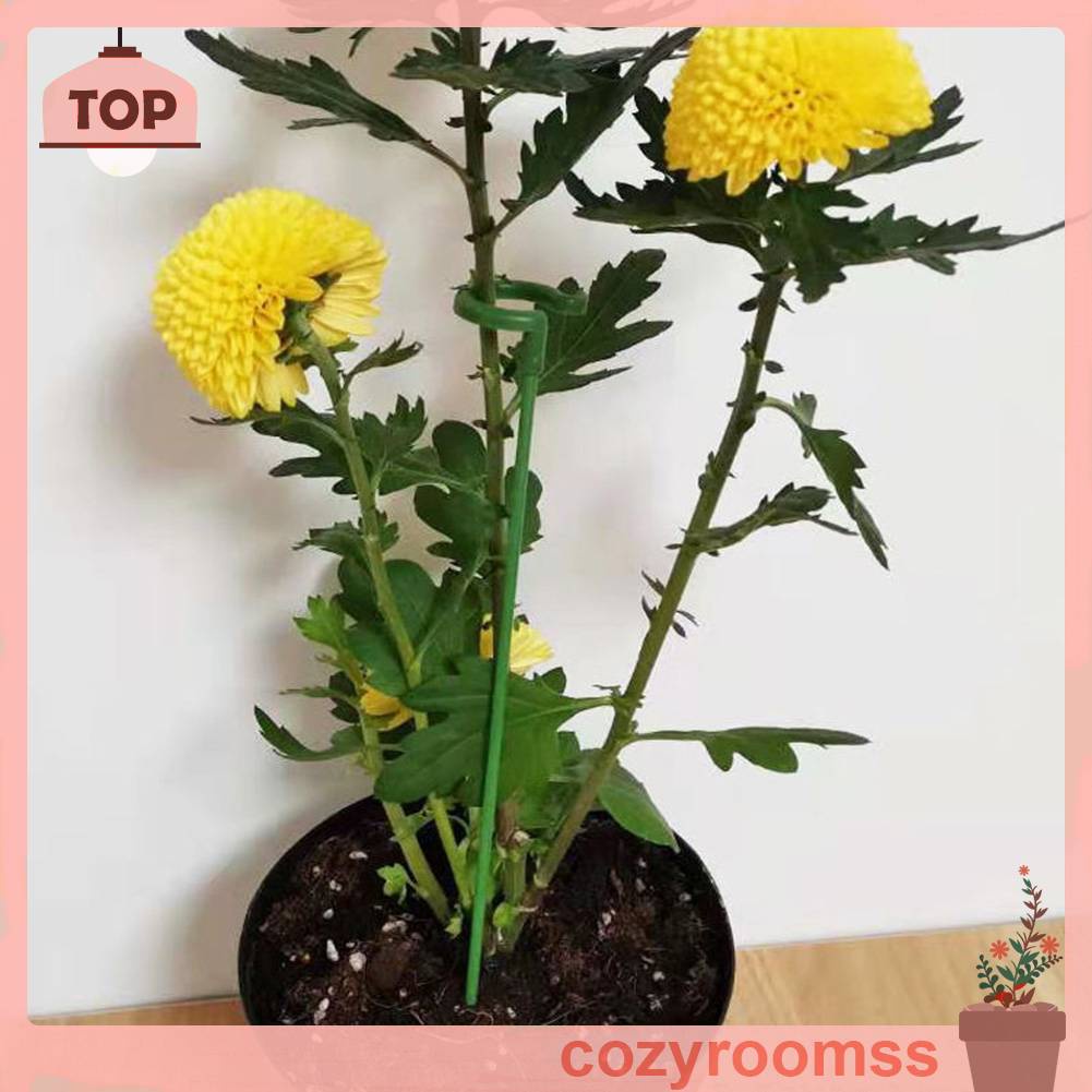 Chậu Trồng Cây Bằng Sợi Thủy Tinh Chống Rơi Cho Trồng Cây Mọng Nước Phalaenops