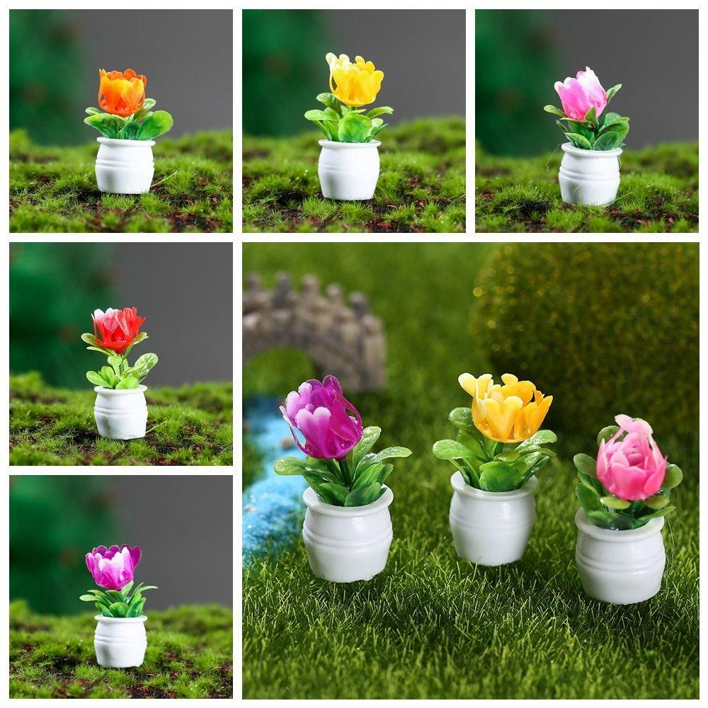 BERNARDO Mô Hình Cây Xương Rồng Mini Nghệ Thuật Tròn Sống Động Như Thật Không Dễ Bị Bụi Dùng Để Trồng Cây Trong Tiểu Cảnh
