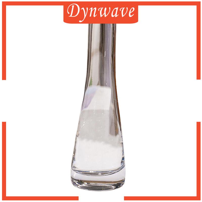 Bình Hoa Thủy Tinh Trang Trí Phòng Ăn / Quán Cà Phê / Nhà Hàng