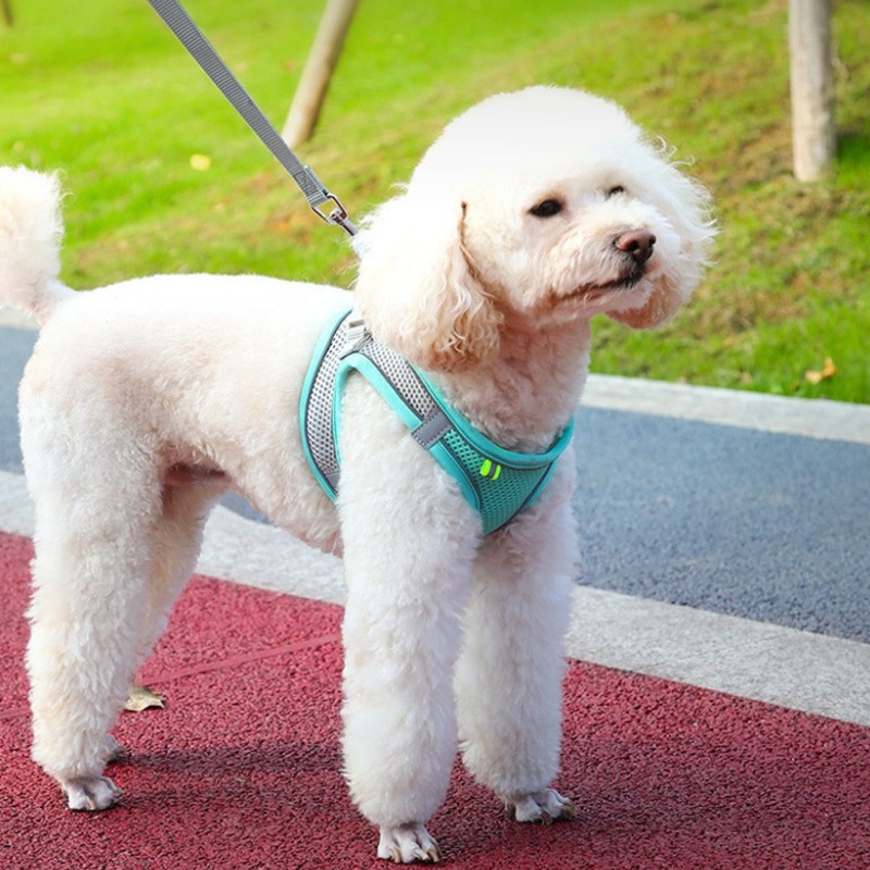 Dog harness quần áo vest có thể điều chỉnh phản quang dây chó thoáng khí đi bộ ngoài trời chạy dây xích cho vật nuôi nhỏ vừa
