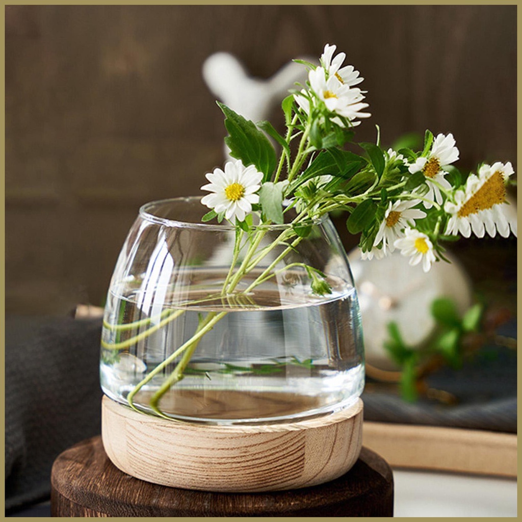 Bình Hoa Thủy Canh Trong Suốt Có Đế Sinh Thái Trang Trí Bể Cá paca3vn