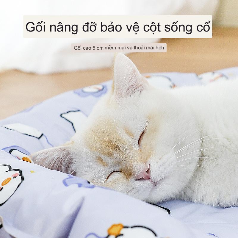 Thảm băng cho thú cưng mùa hè mới vòng nest ipl gel mềm băng mèo nệm làm mát thảm mùa hè thảm cho chó thảm cho thú cưng thảm cho mèo