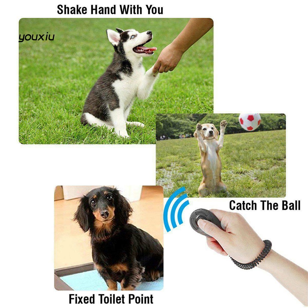 Yfp pet trainer hình bầu dục đàn hồi abs huấn luyện chó clicker cho ngoài trời