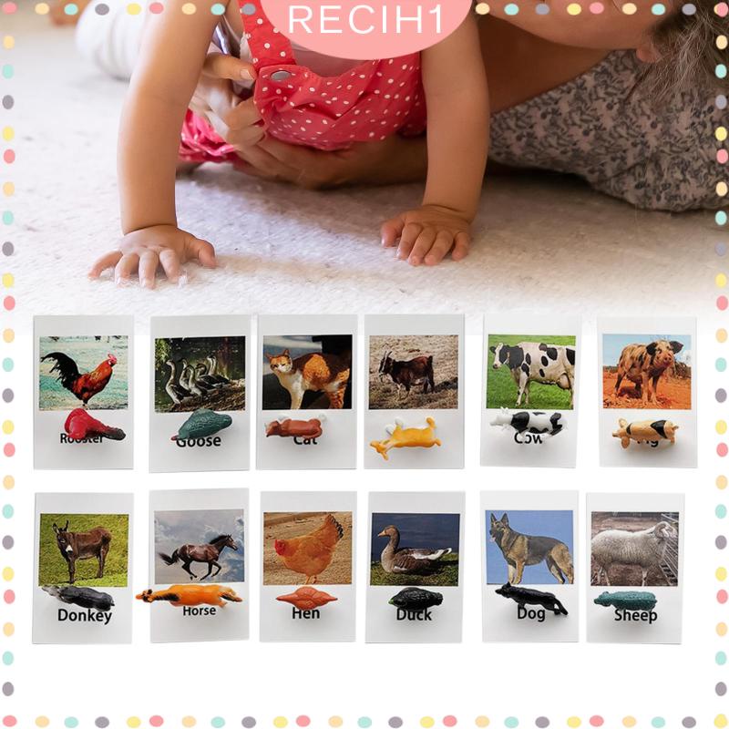 [Recih] Đồ Chơi Mô Hình Động Vật Biển Rừng Nhỏ Cho Bé Mẫu Giáo