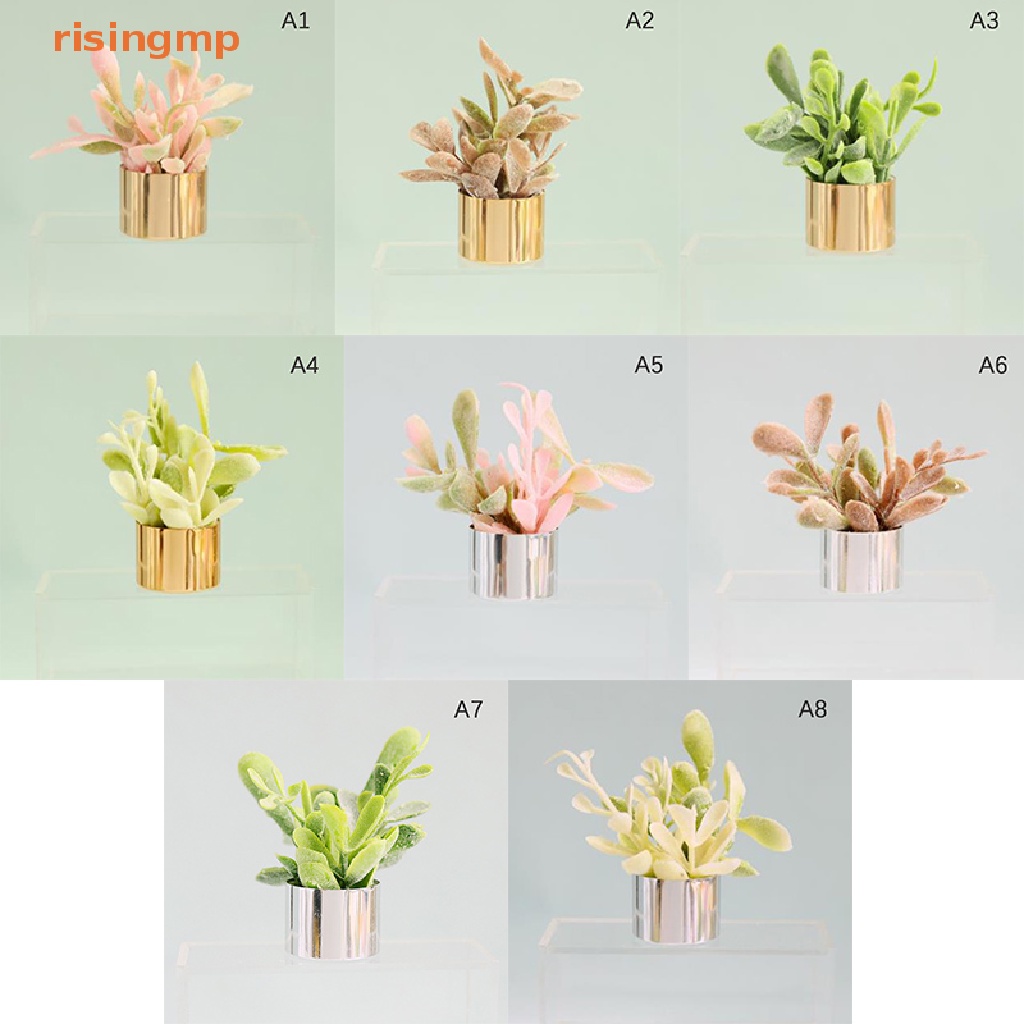 1 Mô Hình Chậu Cây Mini Tỉ Lệ 1 / 6 1 / 8 Dùng Trang Trí Nhà Búp Bê