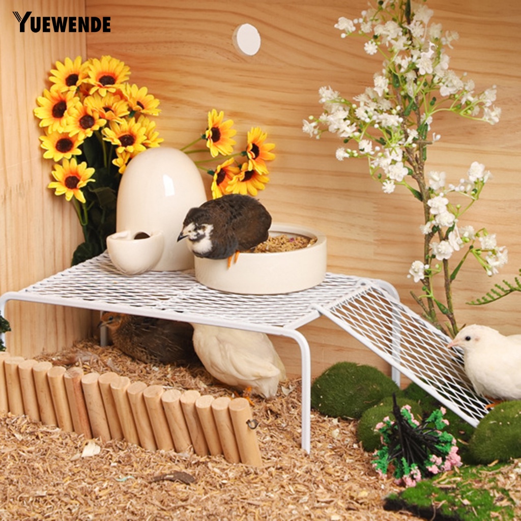 1 Bộ Bệ Lót Chuồng Gà / Leo Trèo Siêu Bền Chắc Chắn Sturdy