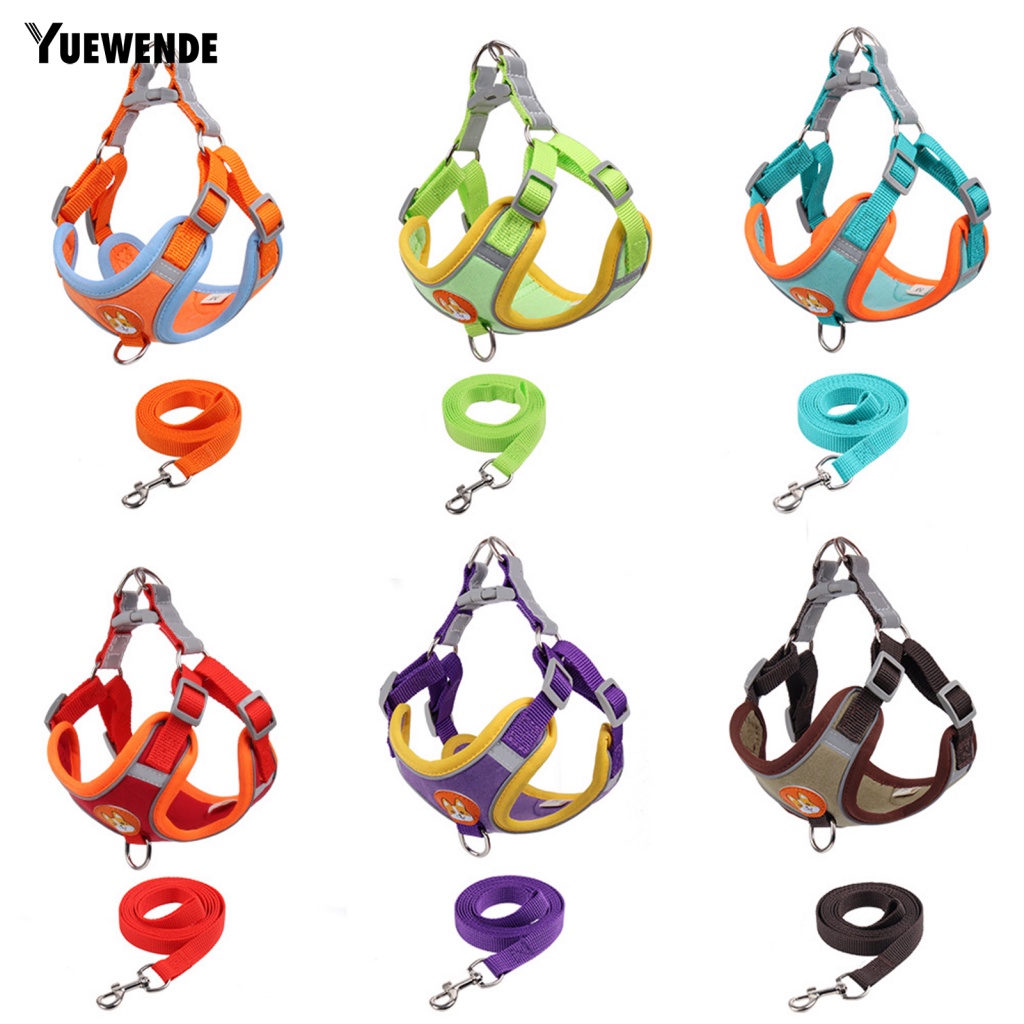 Set 2 Dây Dắt Thú Cưng Đi Dạo Thân Thiện Với Môi Trường Màu Sắc Tương Phản