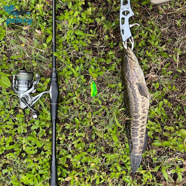 Galaxy Mồi Giả Câu Cá Hình Ếch 3d 5.5cm / 8.9g 3-4 Feet