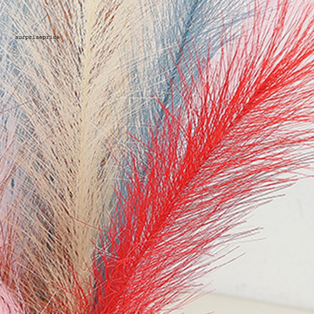 Cỏ Pampas Giả Nhiều Màu Dùng Trang Trí Tiệc Cưới / SPA