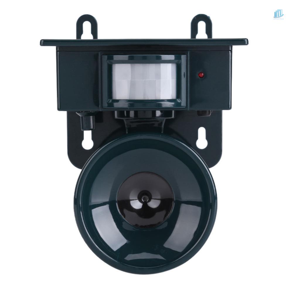 Dụng Cụ Đuổi Chim Bằng Năng Lượng Mặt Trời (s2mwvn) Chống Chim Phá Hoại Tiện Dụng