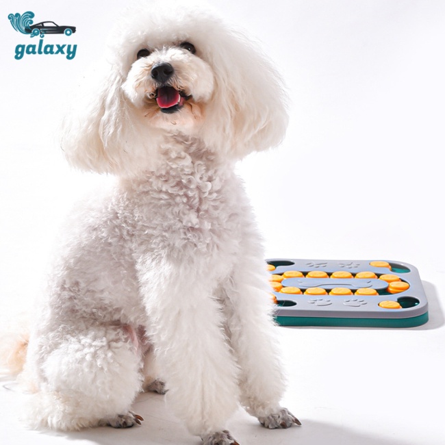 Galaxy Tô Đựng Thức Ăn Cho Thú Cưng Chống Trượt Đa Năng