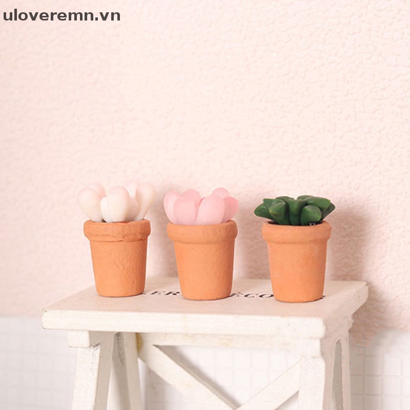 Mô Hình Chậu Cây Mọng Nước Trang Trí Nhà Búp Bê Tỉ Lệ 1: 12