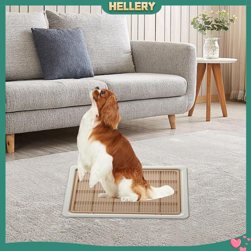 Khay Huấn Luyện Thú Cưng Đi Vệ Sinh Tiện Dụng