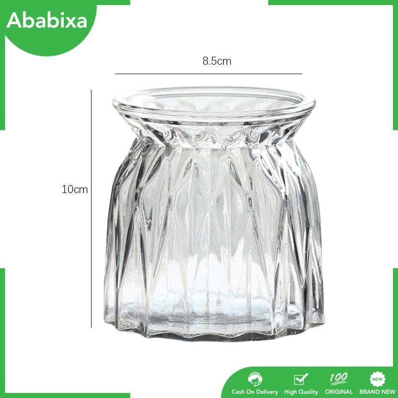 Set 2 Lọ Thủy Tinh Trồng Cây Khô Kèm Giá Đỡ Dành Cho Nhà Bếp / Phòng Ngủ