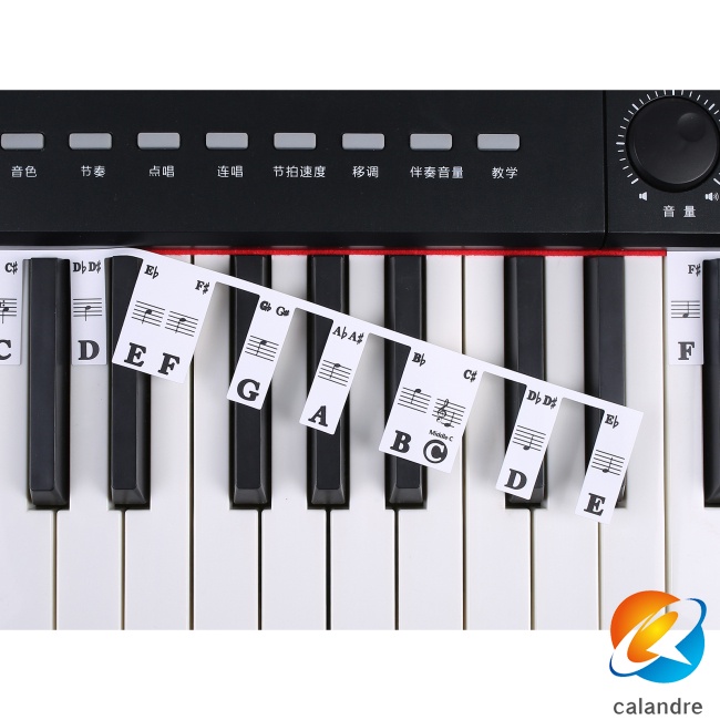 Nhãn Dán Ghi Chú 88 Phím / 61 Phím Cho Đàn Piano Tiện Dụng