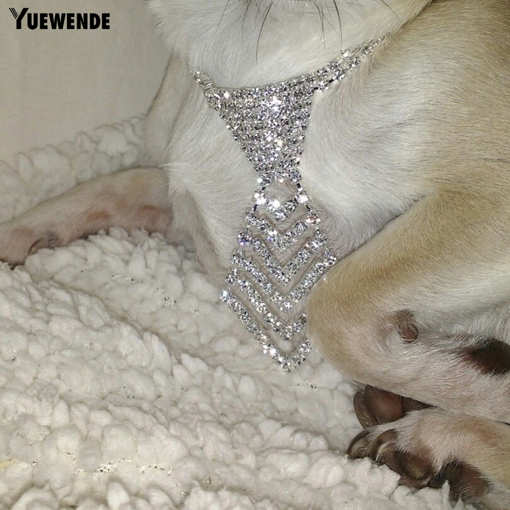 Vòng Cổ Bắt Mắt Màu Sắc Lấp Lánh Tùy Chỉnh Tiện Dụng Cho Thú Cưng