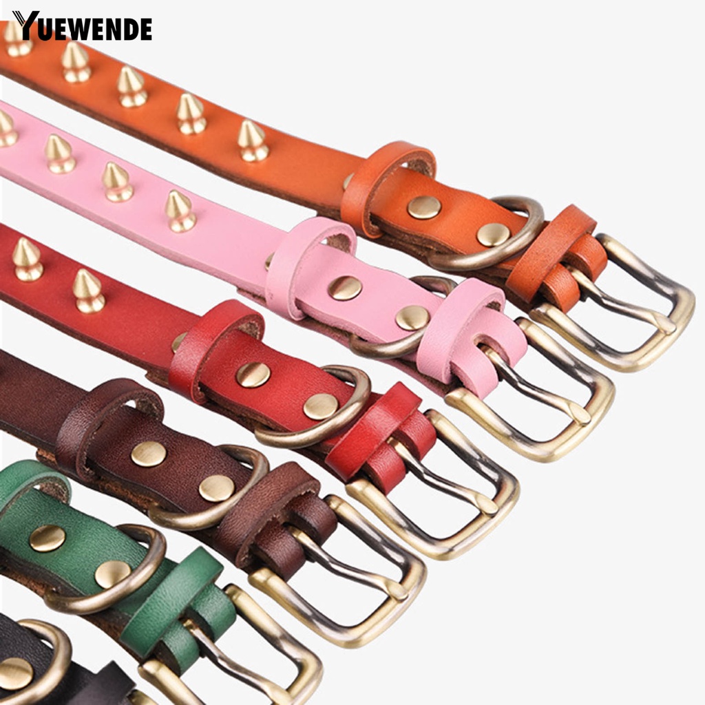 Vòng Cổ Hai Lớp Chống Cắn Dễ Điều Chỉnh Cho Thú Cưng Cỡ Vừa Và Lớn