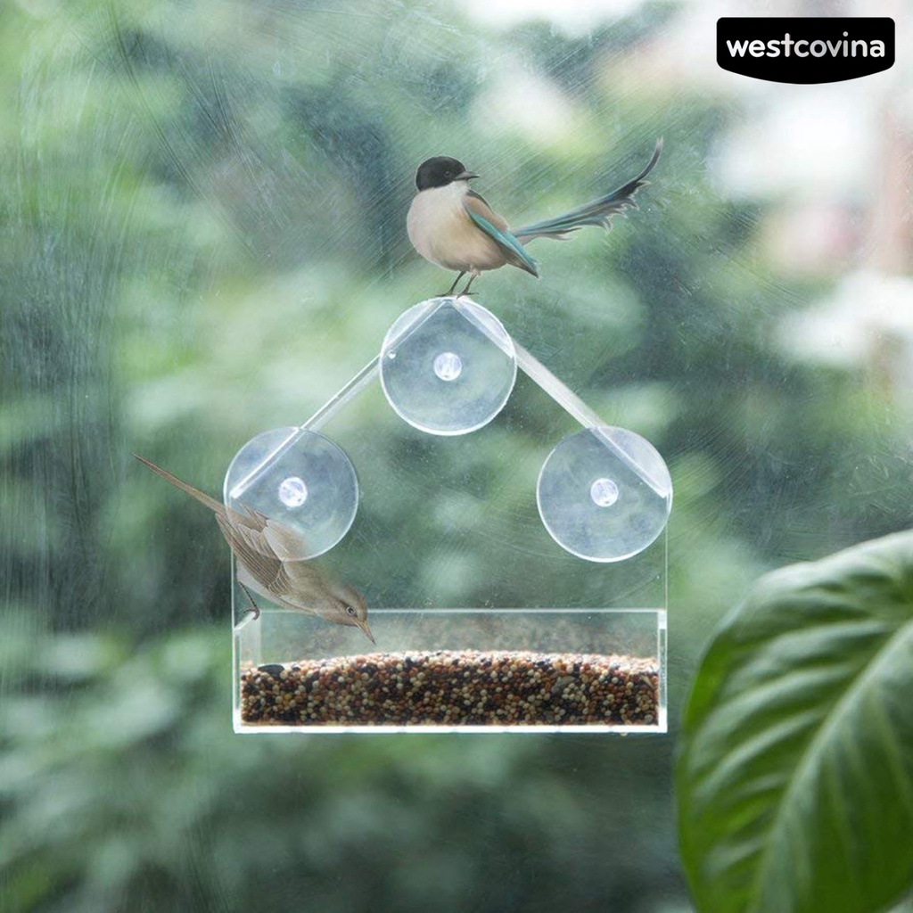 [COD]♞Khay Đựng Thức Ăn Cho Chim Bằng Acrylic Trong Suốt Có Giác Hút Gắn Tường Tiện Dụng