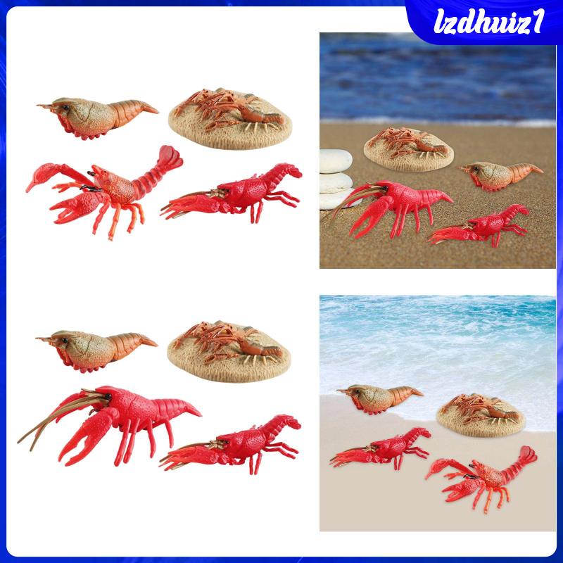 Đồ Chơi Tôm Hùm Biển Cho Bé