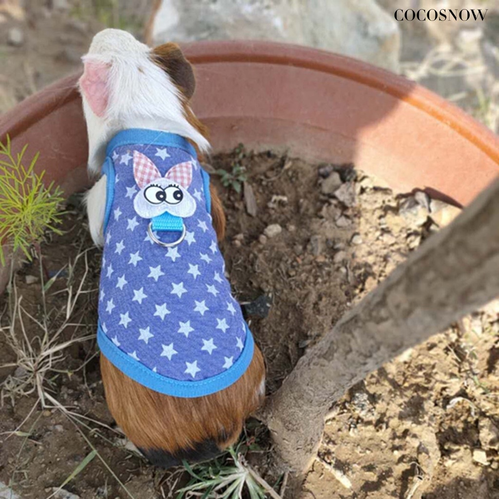 Trang Phục Hàng Xóm Của Tôi Là Totoro Áo Ấm Áp Mùa Thu Đông Cho Chuột Hamster Thỏ Guinea Guinea