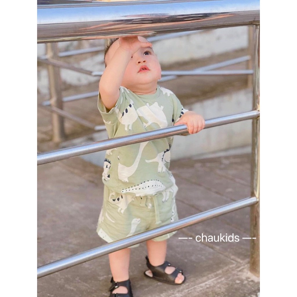 BỘ CỘC TAY COTTON IN HÌNH KHỦNG LONG 8-18KG
