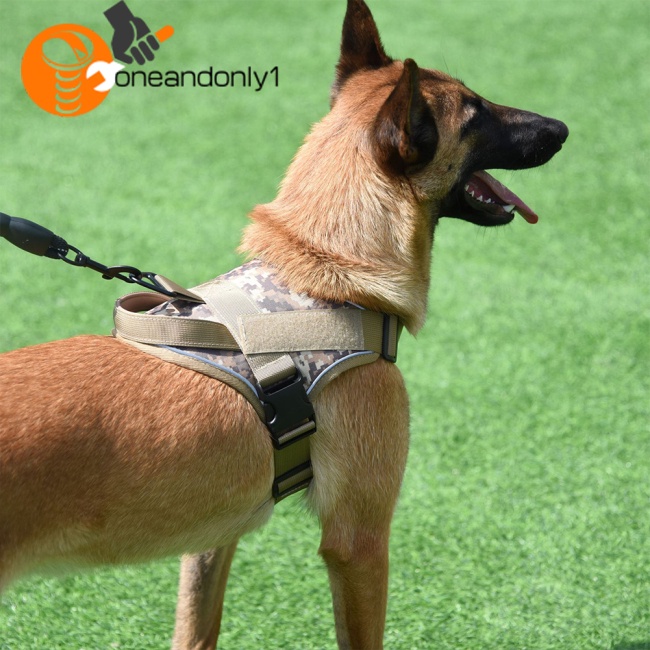 Dây Dắt Thú Cưng Đi Dạo K9 Phản Quang Cỡ Vừa / Lớn Tiện Dụng